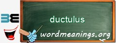 WordMeaning blackboard for ductulus